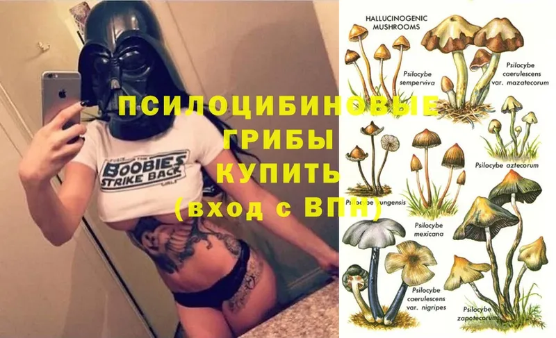 Псилоцибиновые грибы MAGIC MUSHROOMS  МЕГА зеркало  Рыльск 